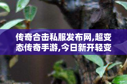 传奇合击私服发布网,超变态传奇手游,今日新开轻变传奇sf，经典重现，热血传奇再启