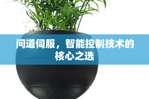 问道伺服，智能控制技术的核心之选