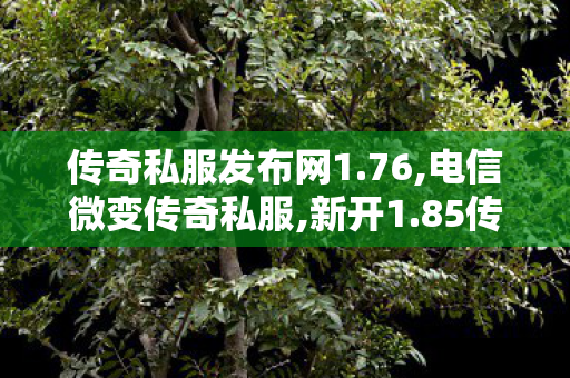 传奇私服发布网1.76,电信微变传奇私服,新开1.85传奇私服介绍及全面解析