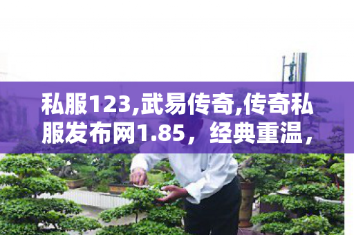 私服123,武易传奇,传奇私服发布网1.85，经典重温，再现传奇荣耀