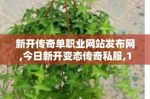 新开传奇单职业网站发布网,今日新开变态传奇私服,1.76传奇sf，经典重现，热血传奇游戏深度解析
