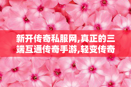 新开传奇私服网,真正的三端互通传奇手游,轻变传奇sf，经典游戏体验的深度解析
