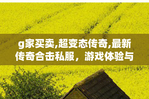 g家买卖,超变态传奇,最新传奇合击私服，游戏体验与11并存
