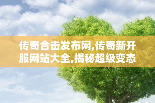 传奇合击发布网,传奇新开服网站大全,揭秘超级变态传奇私服网，游戏迷需警惕的1行为