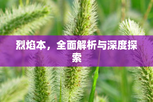 烈焰本，全面解析与深度探索