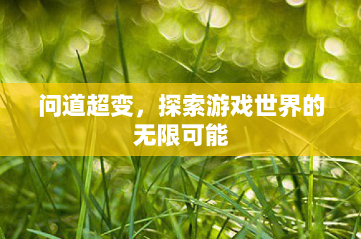 问道超变，探索游戏世界的无限可能
