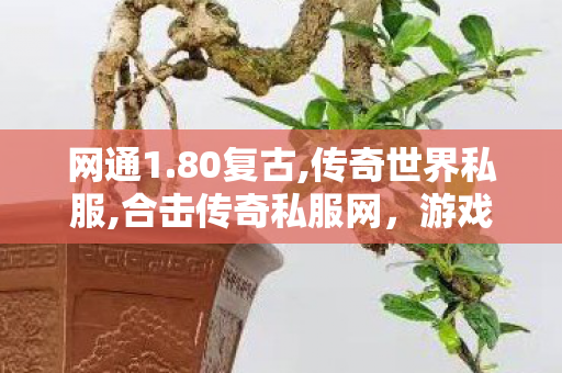 网通1.80复古,传奇世界私服,合击传奇私服网，游戏体验与11分析