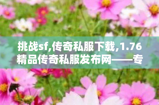 挑战sf,传奇私服下载,1.76精品传奇私服发布网——专业私服发布平台