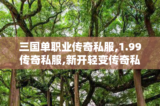 三国单职业传奇私服,1.99传奇私服,新开轻变传奇私服，游戏新体验与11分析