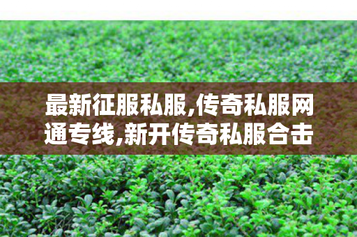 最新征服私服,传奇私服网通专线,新开传奇私服合击版，游戏体验与安全并重