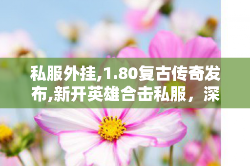 私服外挂,1.80复古传奇发布,新开英雄合击私服，深度解析与全面介绍