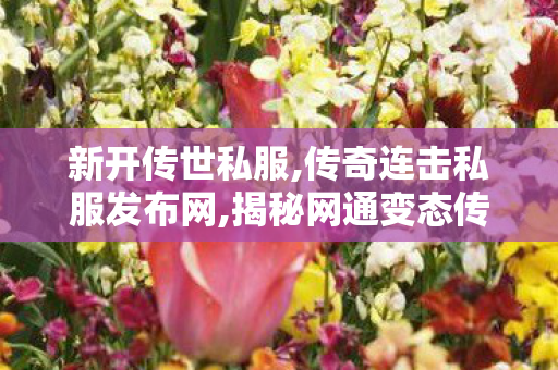 新开传世私服,传奇连击私服发布网,揭秘网通变态传奇私服，游戏世界中的1之举