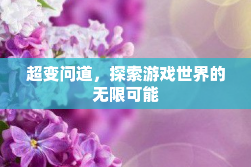 超变问道，探索游戏世界的无限可能