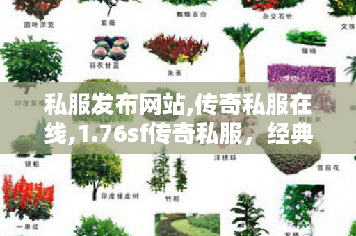 私服发布网站,传奇私服在线,1.76sf传奇私服，经典重现，全面解析