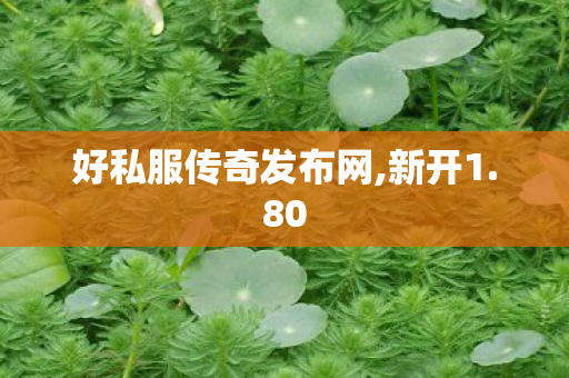 好私服传奇发布网,新开1.80