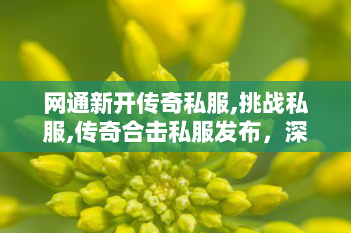 网通新开传奇私服,挑战私服,传奇合击私服发布，深度解析与全面指南