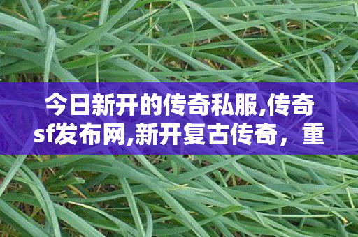 今日新开的传奇私服,传奇sf发布网,新开复古传奇，重温经典，探索传奇世界