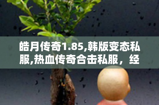 皓月传奇1.85,韩版变态私服,热血传奇合击私服，经典重现，热血再燃