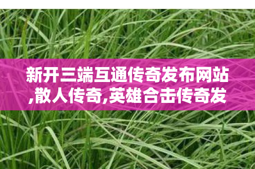 新开三端互通传奇发布网站,散人传奇,英雄合击传奇发布网，经典传奇游戏重燃热血战场