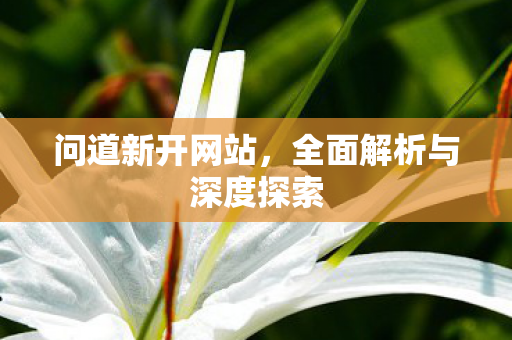 问道新开网站，全面解析与深度探索