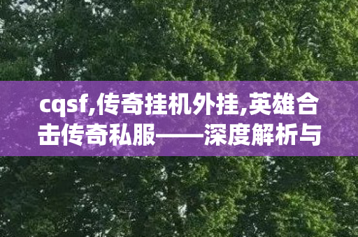cqsf,传奇挂机外挂,英雄合击传奇私服——深度解析与全面介绍