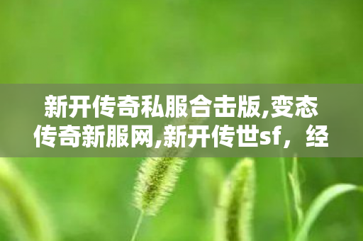 新开传奇私服合击版,变态传奇新服网,新开传世sf，经典传奇游戏续写辉煌