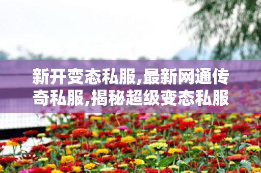 新开变态私服,最新网通传奇私服,揭秘超级变态私服传奇，游戏世界中的1行为与1