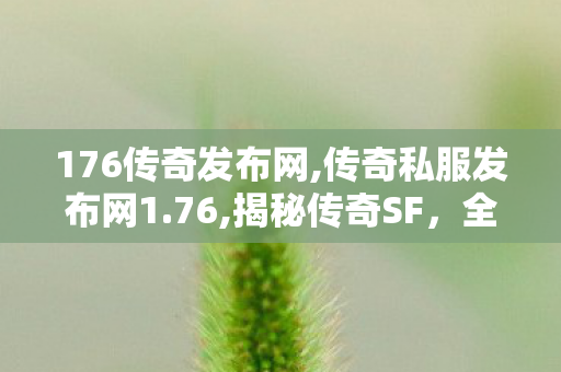 176传奇发布网,传奇私服发布网1.76,揭秘传奇SF，全新传奇私服网站上线，畅享传奇之旅