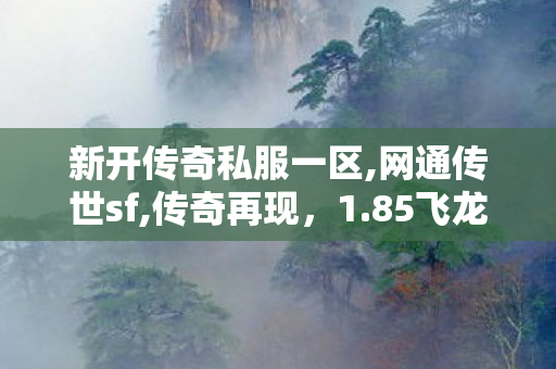 新开传奇私服一区,网通传世sf,传奇再现，1.85飞龙版本深度解析