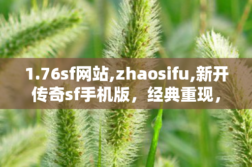 1.76sf网站,zhaosifu,新开传奇sf手机版，经典重现，掌上传奇之旅
