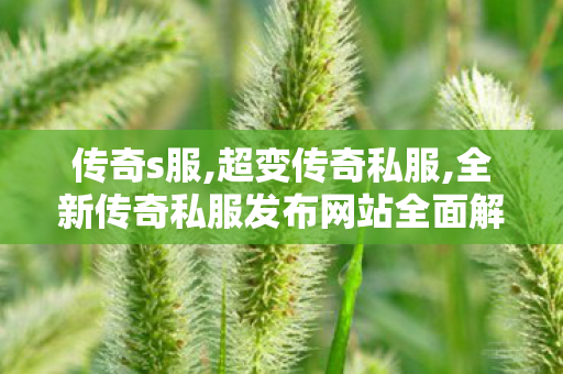 传奇s服,超变传奇私服,全新传奇私服发布网站全面解析