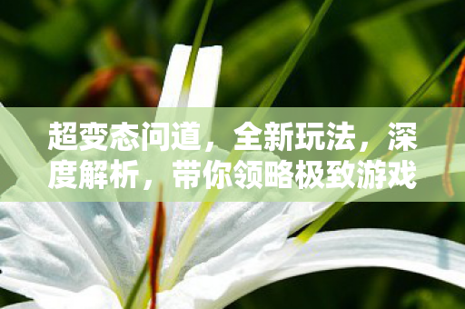 超变态问道，全新玩法，深度解析，带你领略极致游戏体验
