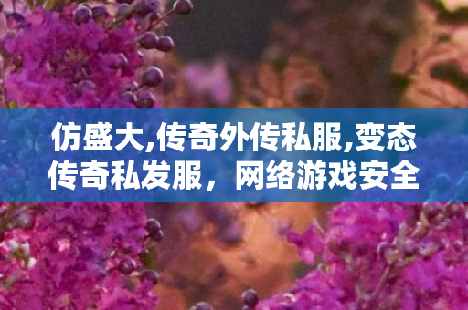 仿盛大,传奇外传私服,变态传奇私发服，网络游戏安全与1责任探讨