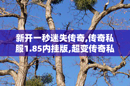新开一秒迷失传奇,传奇私服1.85内挂版,超变传奇私服网站，游戏体验的1途径