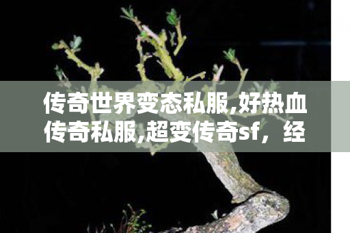 传奇世界变态私服,好热血传奇私服,超变传奇sf，经典传奇游戏的深度解析与全面介绍