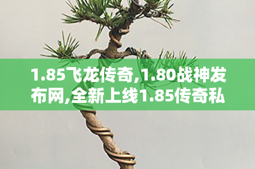 1.85飞龙传奇,1.80战神发布网,全新上线1.85传奇私服网——全面解析与详细介绍