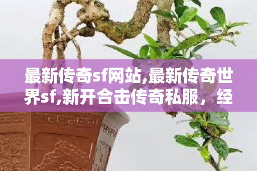 最新传奇sf网站,最新传奇世界sf,新开合击传奇私服，经典重现，热血再燃