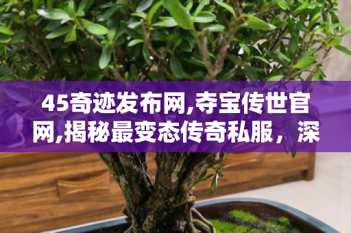 45奇迹发布网,夺宝传世官网,揭秘最变态传奇私服，深度解析与全面指南