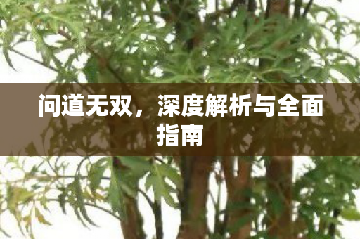 问道无双，深度解析与全面指南