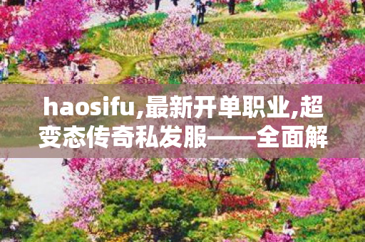 haosifu,最新开单职业,超变态传奇私发服——全面解析与详细介绍