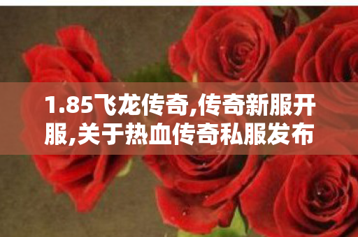1.85飞龙传奇,传奇新服开服,关于热血传奇私服发布网的探讨