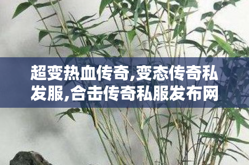 超变热血传奇,变态传奇私发服,合击传奇私服发布网，游戏私服安全与合规的探讨
