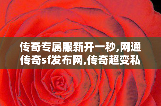 传奇专属服新开一秒,网通传奇sf发布网,传奇超变私服，经典游戏重燃，探索无限可能
