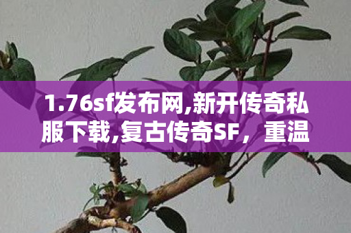 1.76sf发布网,新开传奇私服下载,复古传奇SF，重温经典，探索未知的传奇世界