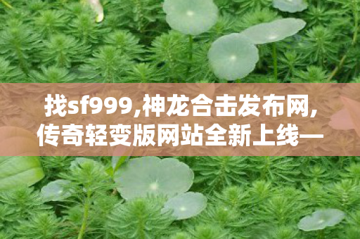 找sf999,神龙合击发布网,传奇轻变版网站全新上线——畅享经典传奇游戏体验