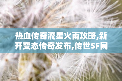 热血传奇流星火雨攻略,新开变态传奇发布,传世SF网全新上线，经典传奇游戏体验的革新之旅