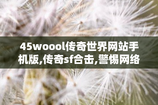 45woool传奇世界网站手机版,传奇sf合击,警惕网络1行为——解析变态传奇私服网的危害