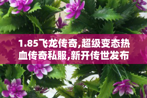 1.85飞龙传奇,超级变态热血传奇私服,新开传世发布网，经典游戏重现，玩家首选的传奇之旅