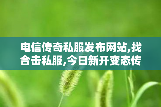 电信传奇私服发布网站,找合击私服,今日新开变态传奇私服，全面解析与详细指南
