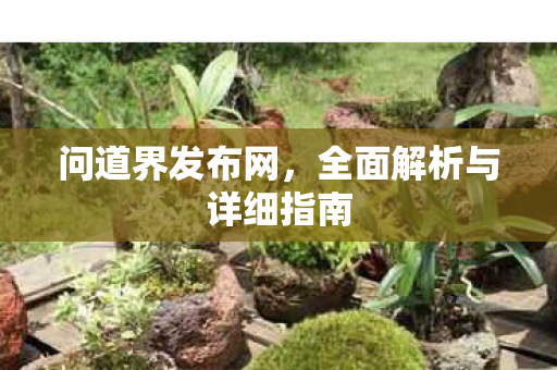 问道界发布网，全面解析与详细指南